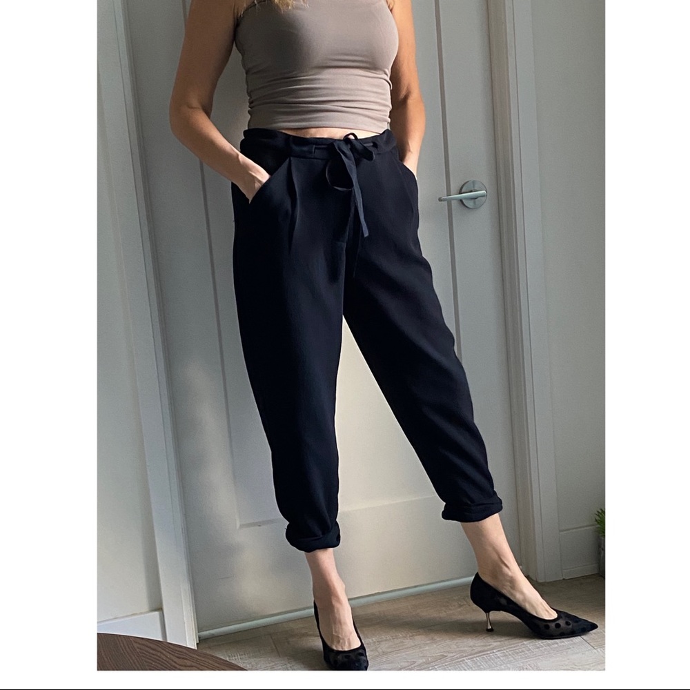 Aritzia Wilfred Pants